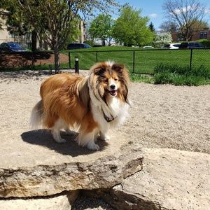 Meet your Posher, Ray